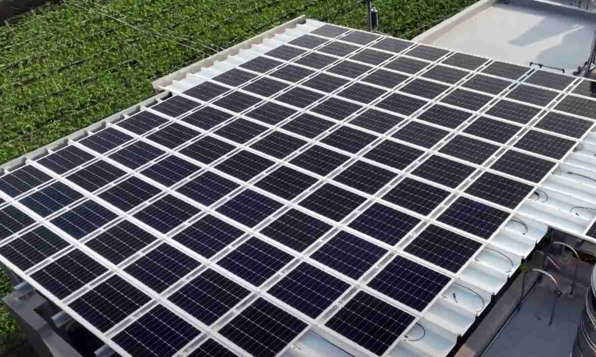 菠菜论坛SunSteel光电浪板升级双玻结构，，以提升机械负载强度及气候耐候度，，可广泛运用于多元场域